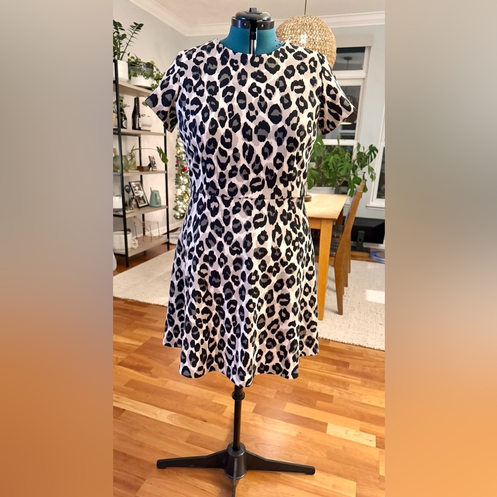 Eliza J | Fit and Flare Leopard Short Sleeve Dress | 16